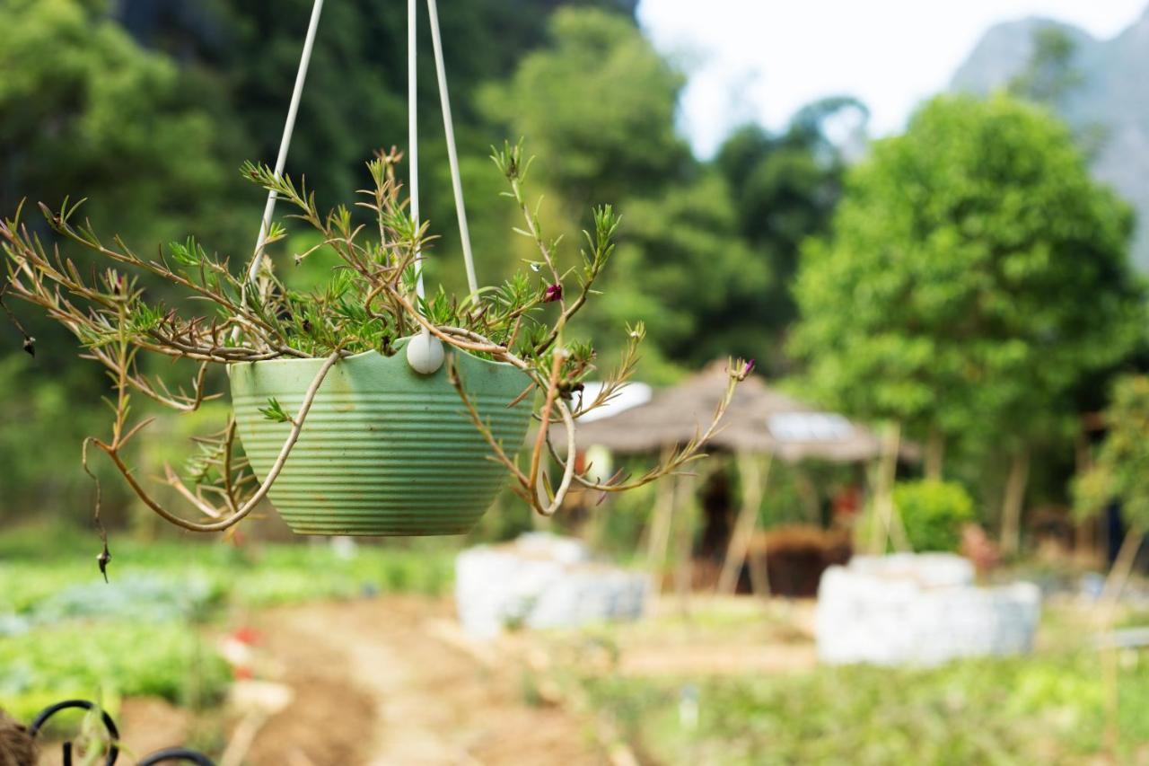 Nirvana Organic Farm Inn 양수오 외부 사진