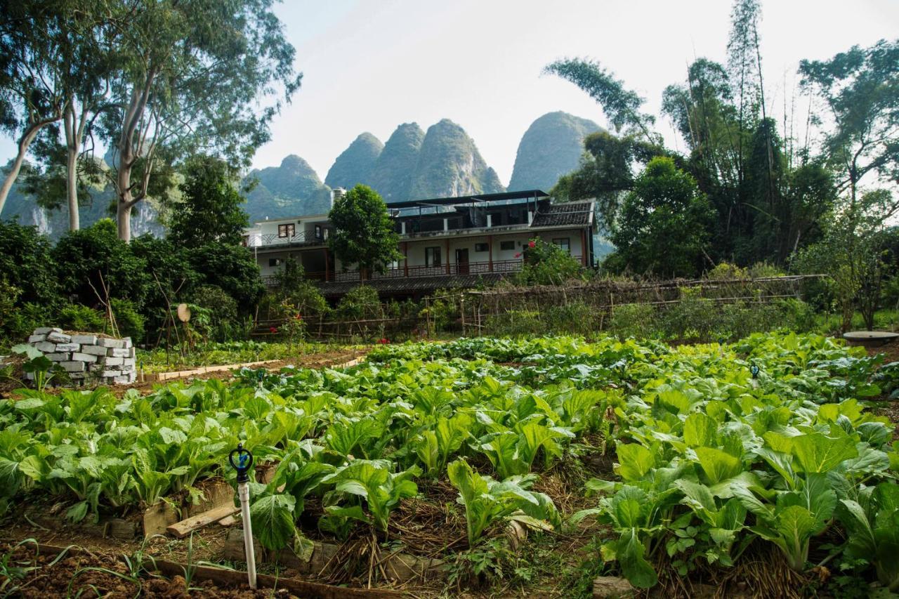 Nirvana Organic Farm Inn 양수오 외부 사진