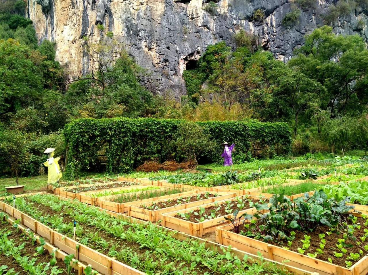 Nirvana Organic Farm Inn 양수오 외부 사진